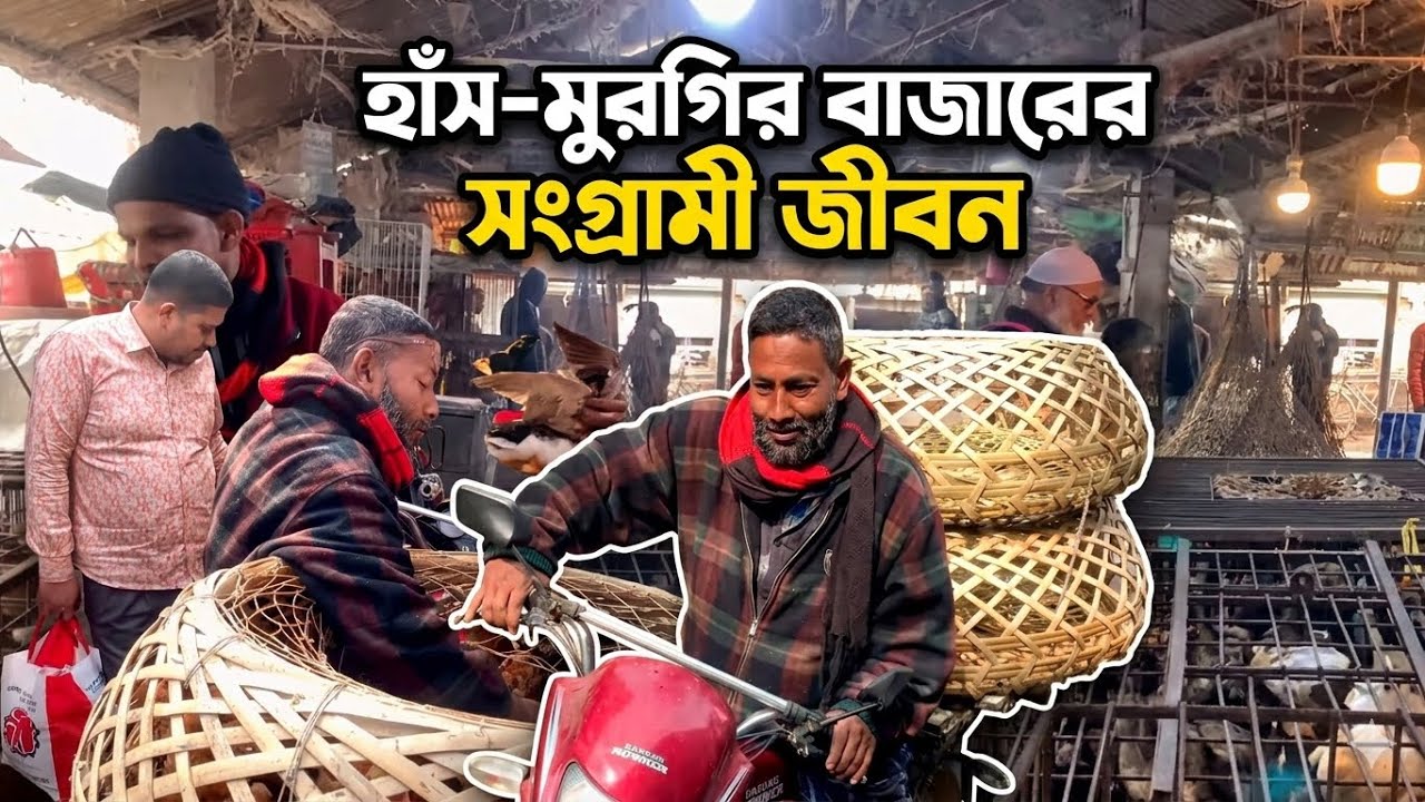 হাঁস-মুরগির বাজারের সংগ্রামী জীবন | Duck & Chicken Market Bangladesh | Village Poultry Market Life