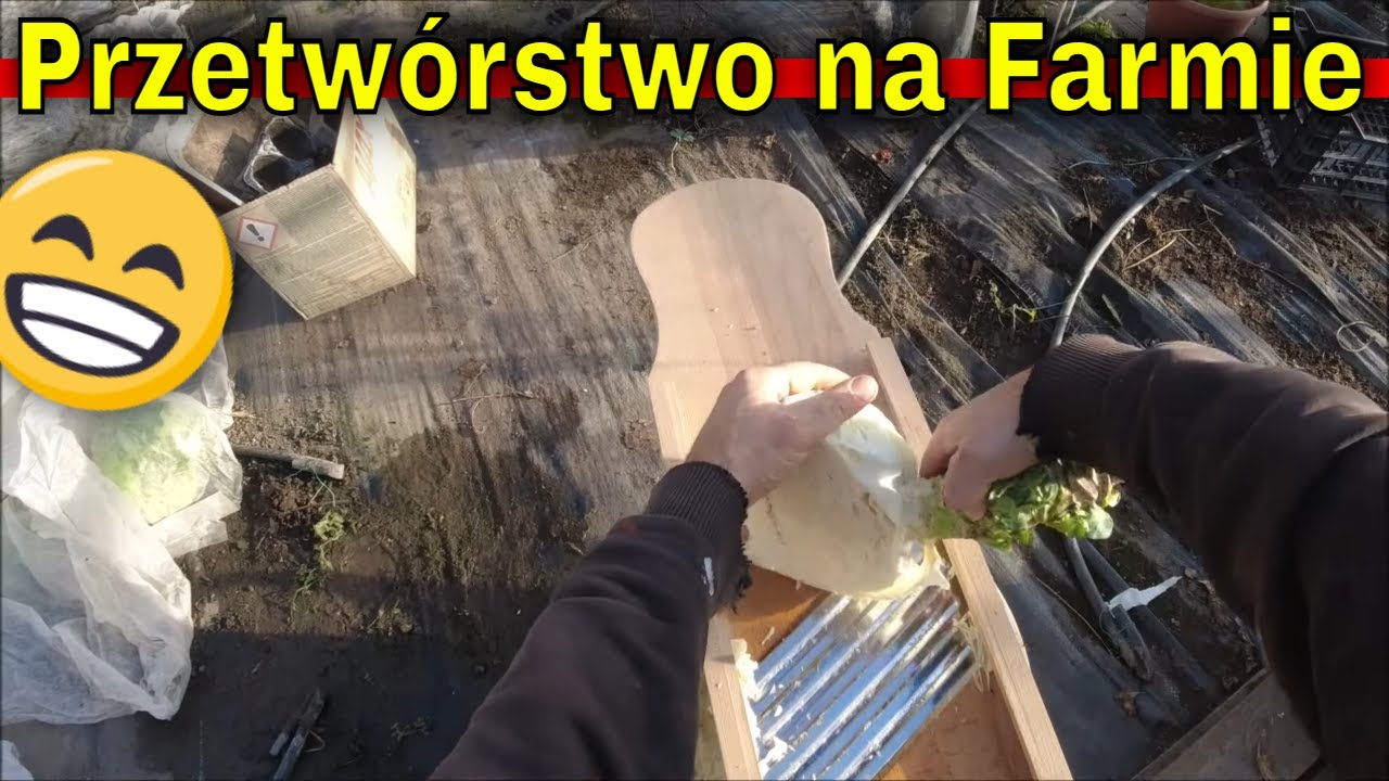 Wędzenie mięsa. Czy kozy lubią cukier? kiszenie kapusty nie po Bożemu.