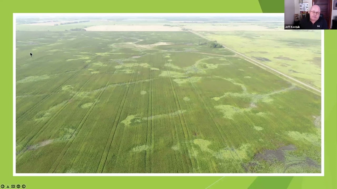 Jeff Kostuik: Outdoor Hemp Cultivation