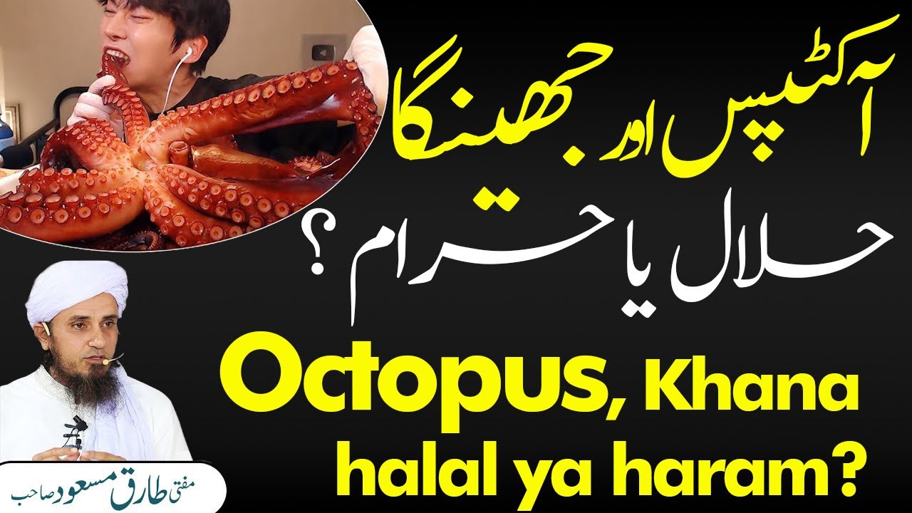 Octopus, Khana halal ya haram? l Solve Your Problems |Ask Mufti Tariq Masood