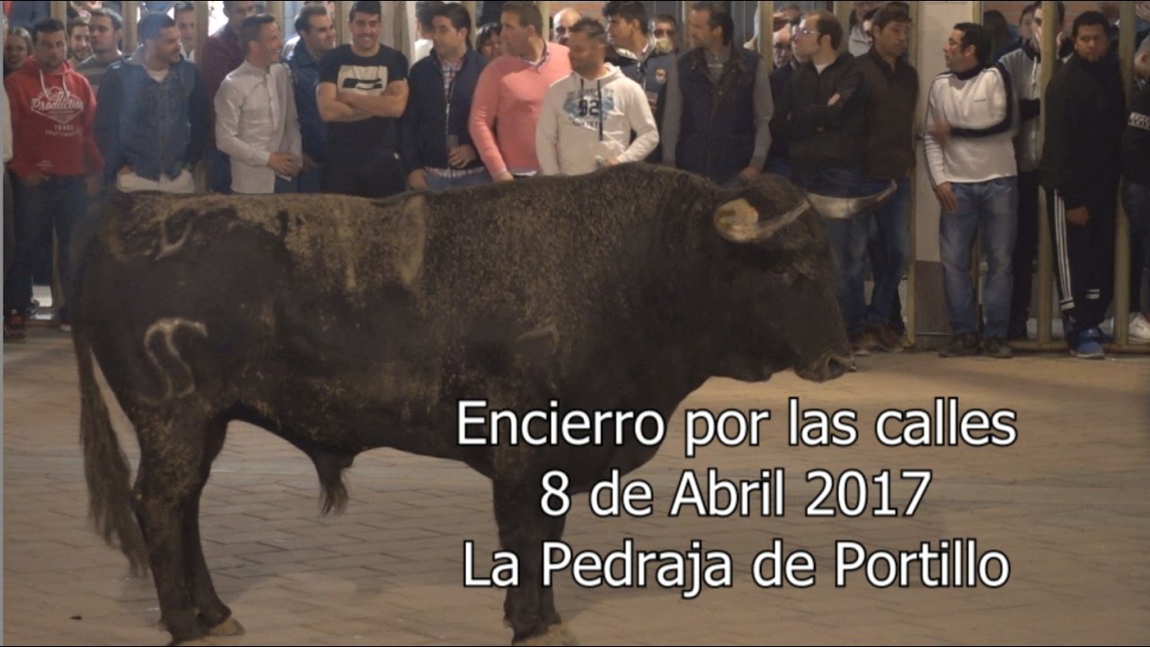 Encierro urbano nocturno  La Pedraja de Portillo 8-Abril-2017
