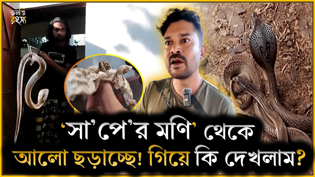 ‘এতো বড় সা’প নিতে হলে ট্রাক লাগবে! তারপর কি ঘটলো? || চলতি রহস্য