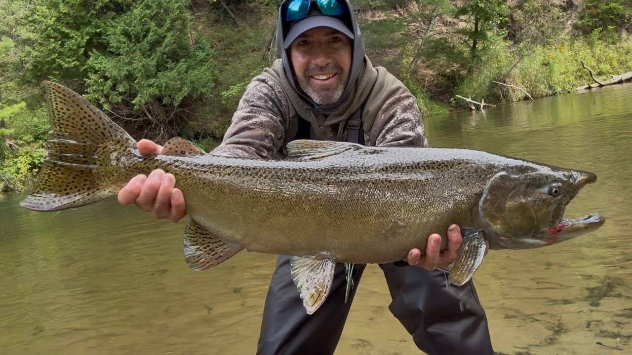 FALL KING SALMON BOBBER FISHING #salmonfishing #kingsalmon #fishing #floatfishing #greatlakes 