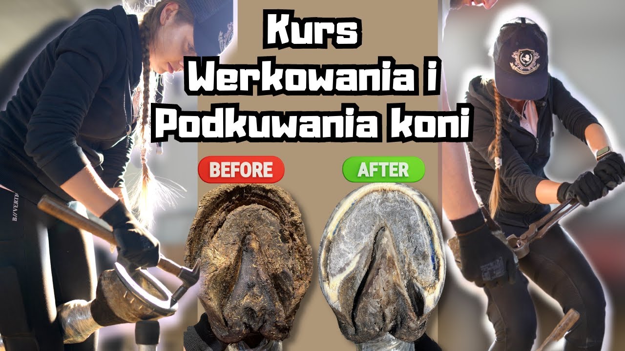 SZKOLENIE KOPYTOWE PRAKTYCZNE DLA WŁAŚCICIELI KONI🐴| Werkowanie i Przybicie Podkowy🛠| Q&A👌🏻🤯