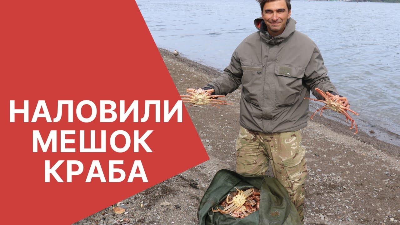Ловля краба на Камчатке в Авачинской бухте
