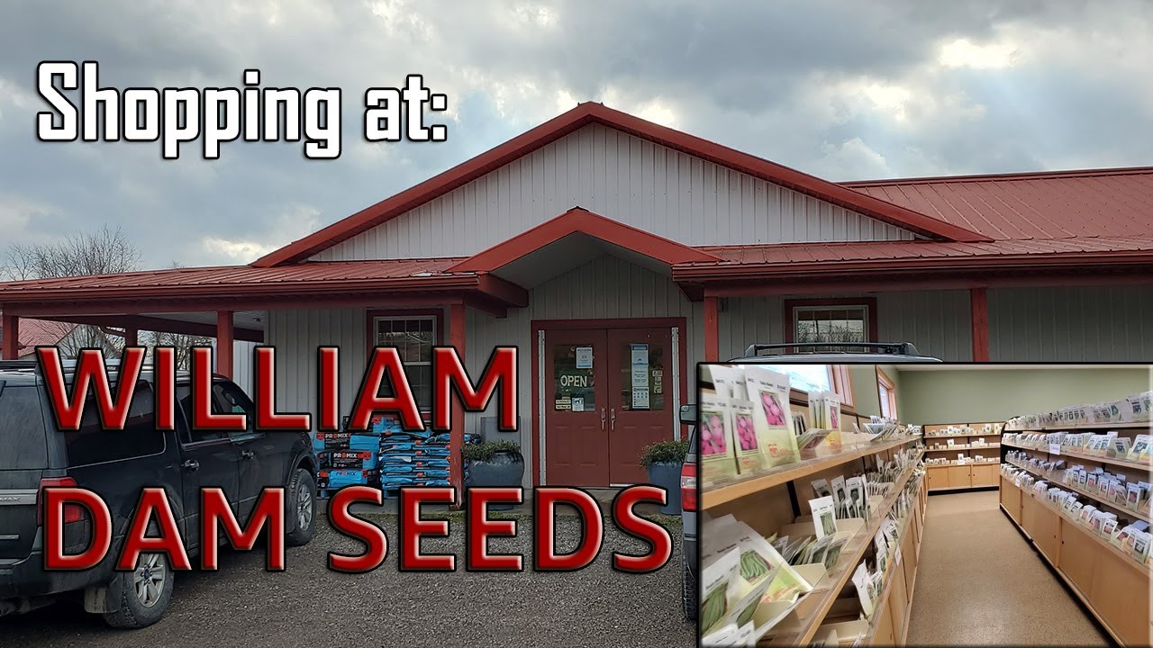 Shopping at William Dam Seeds - Hamilton, ON