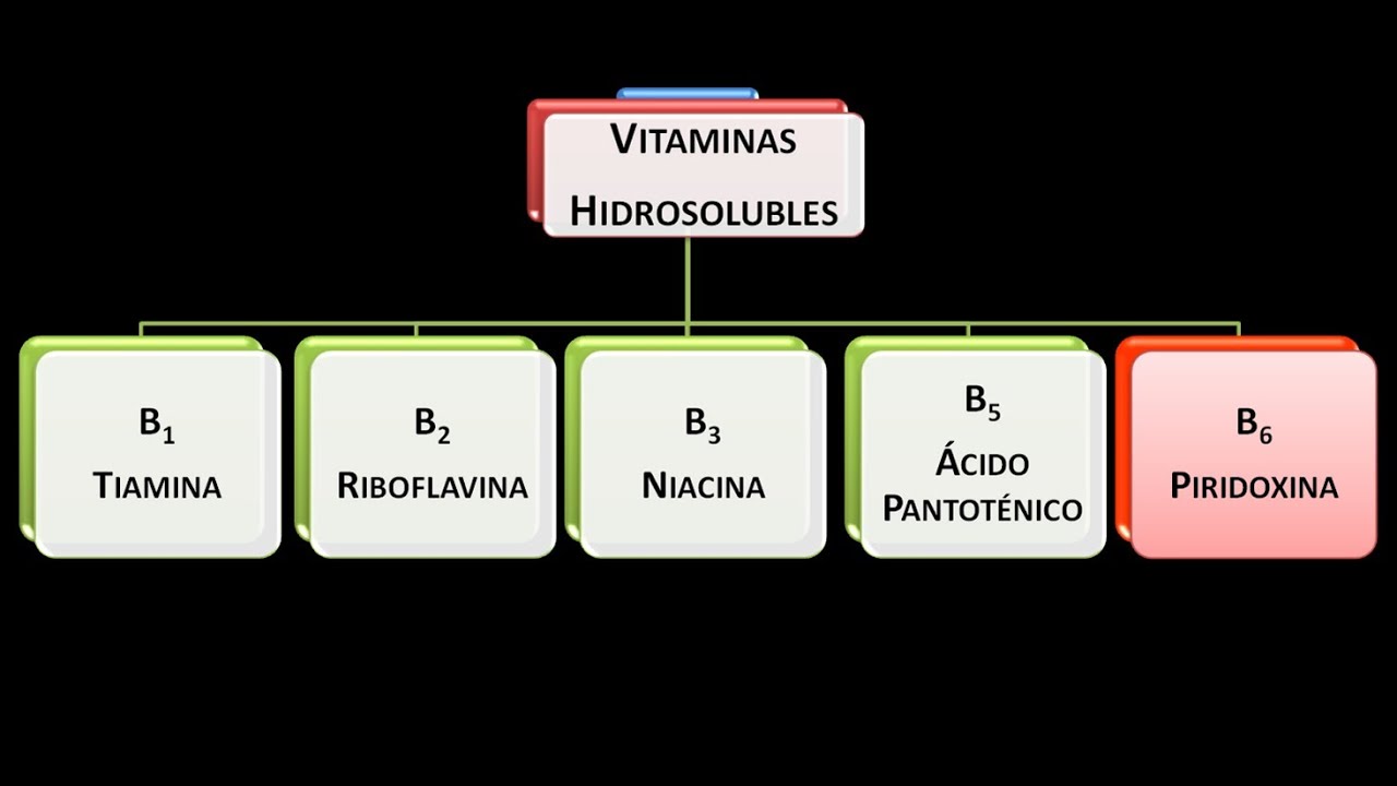 Vitaminas hidrosolubles: Vitamina B6 o Piridoxina