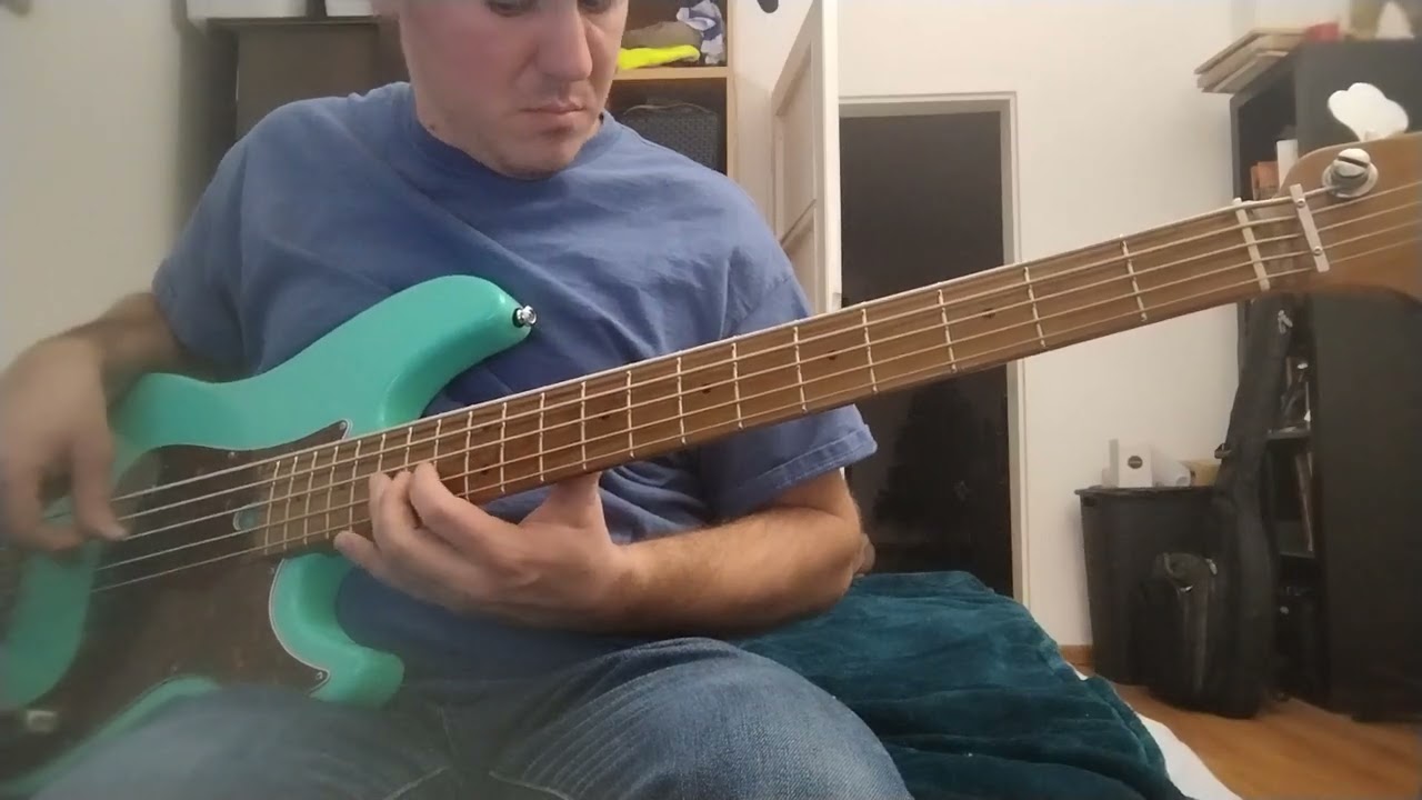 Steve Lukather-Winter Wonderland. ( Bass Cover)
