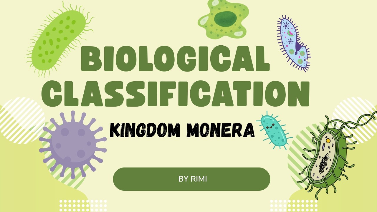 BIOLOGICAL CLASSIFICATION - KINGDOM MONERA | CLASS 11 NCERT | PART 1 (Animated)