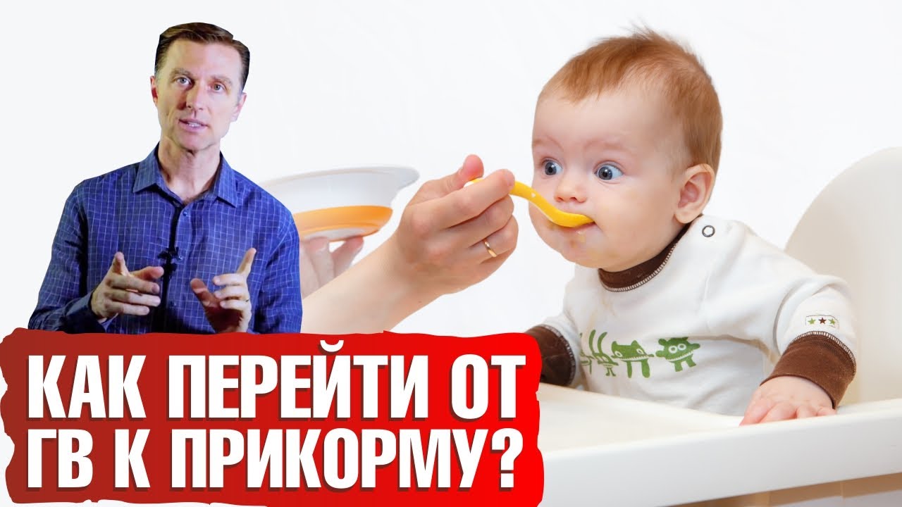 Первый прикорм ребенка: правильное введение прикорма🥣