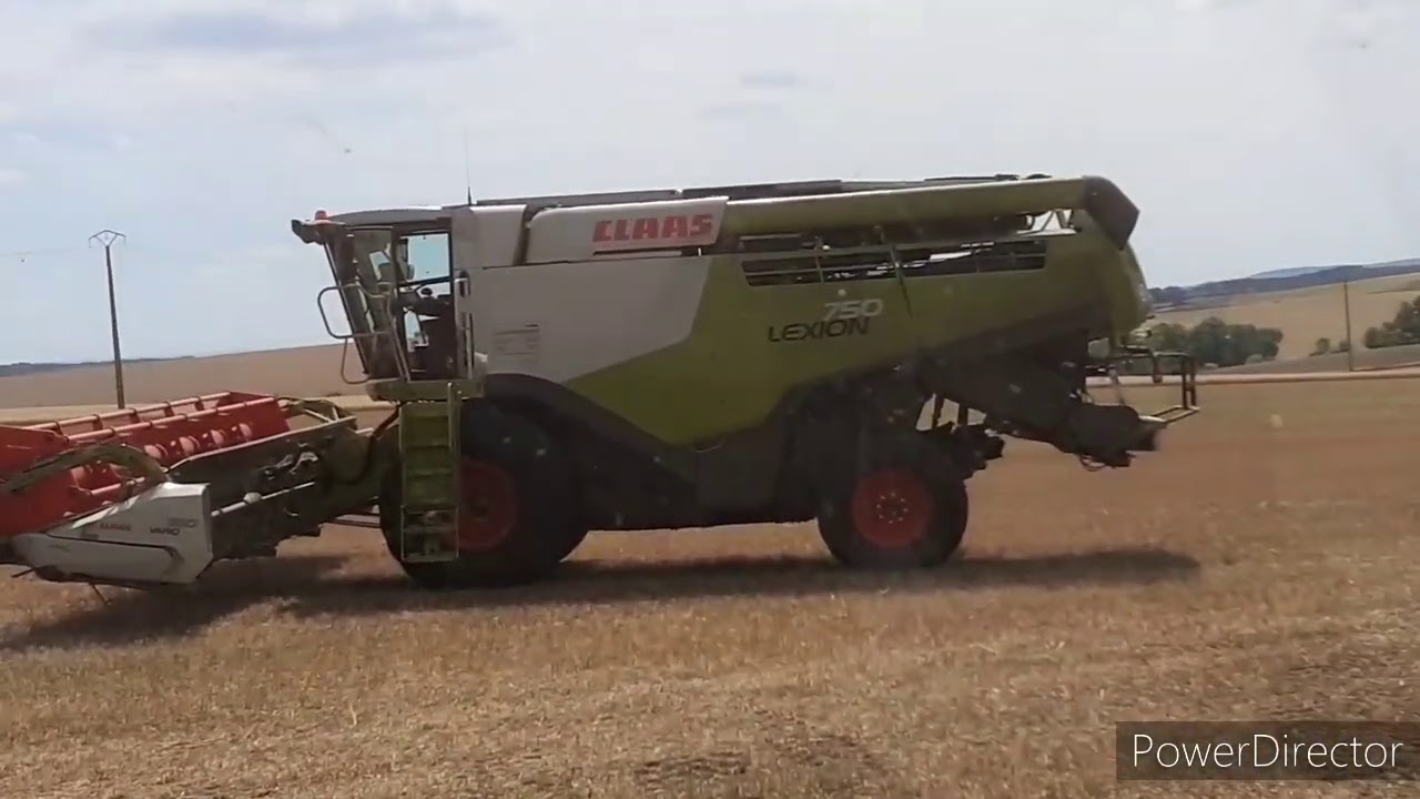 MOISSON DE BLÉ 2020😜💪🌾🔥