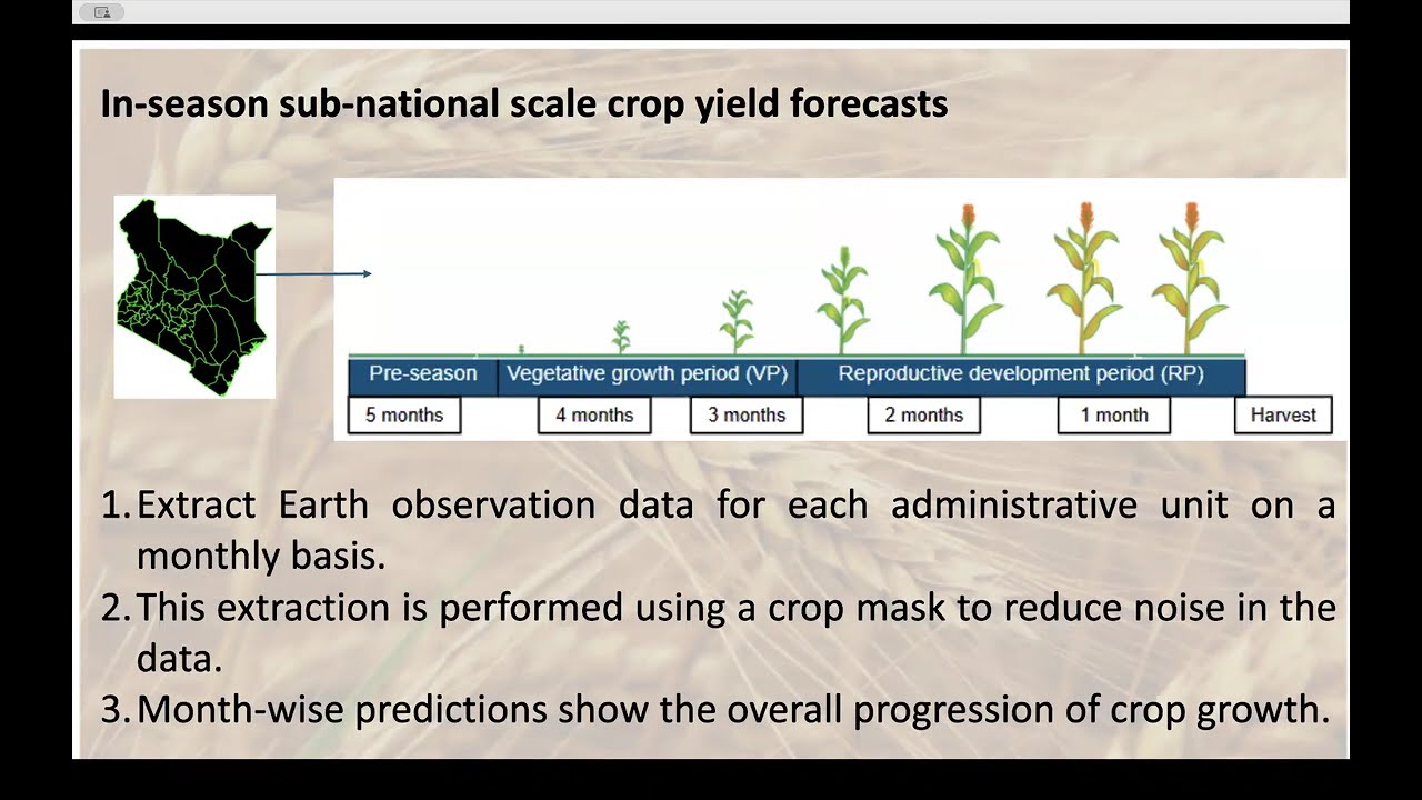 Crop Yield Prediction as an Early Warning Tool for Drought and Food Security Disasters