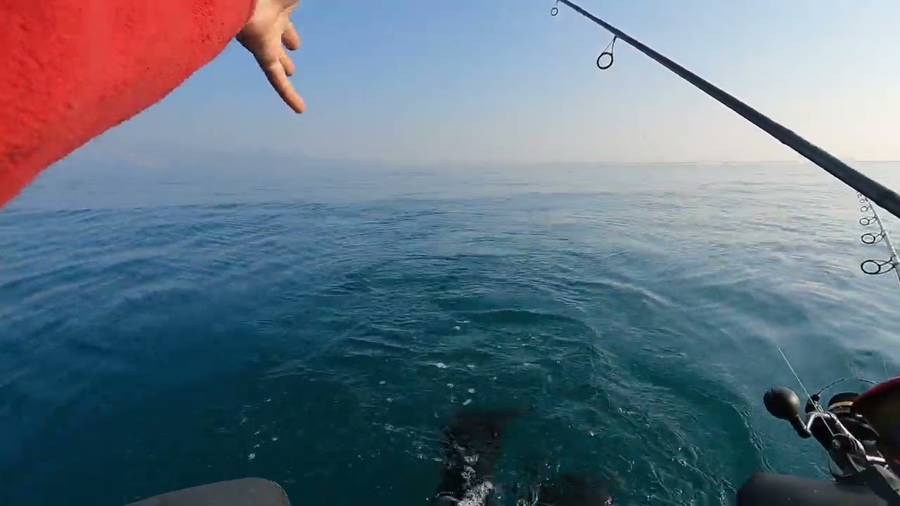 Estreno Motores en Pato de Pesca Prototipo 💯 5 horas record.