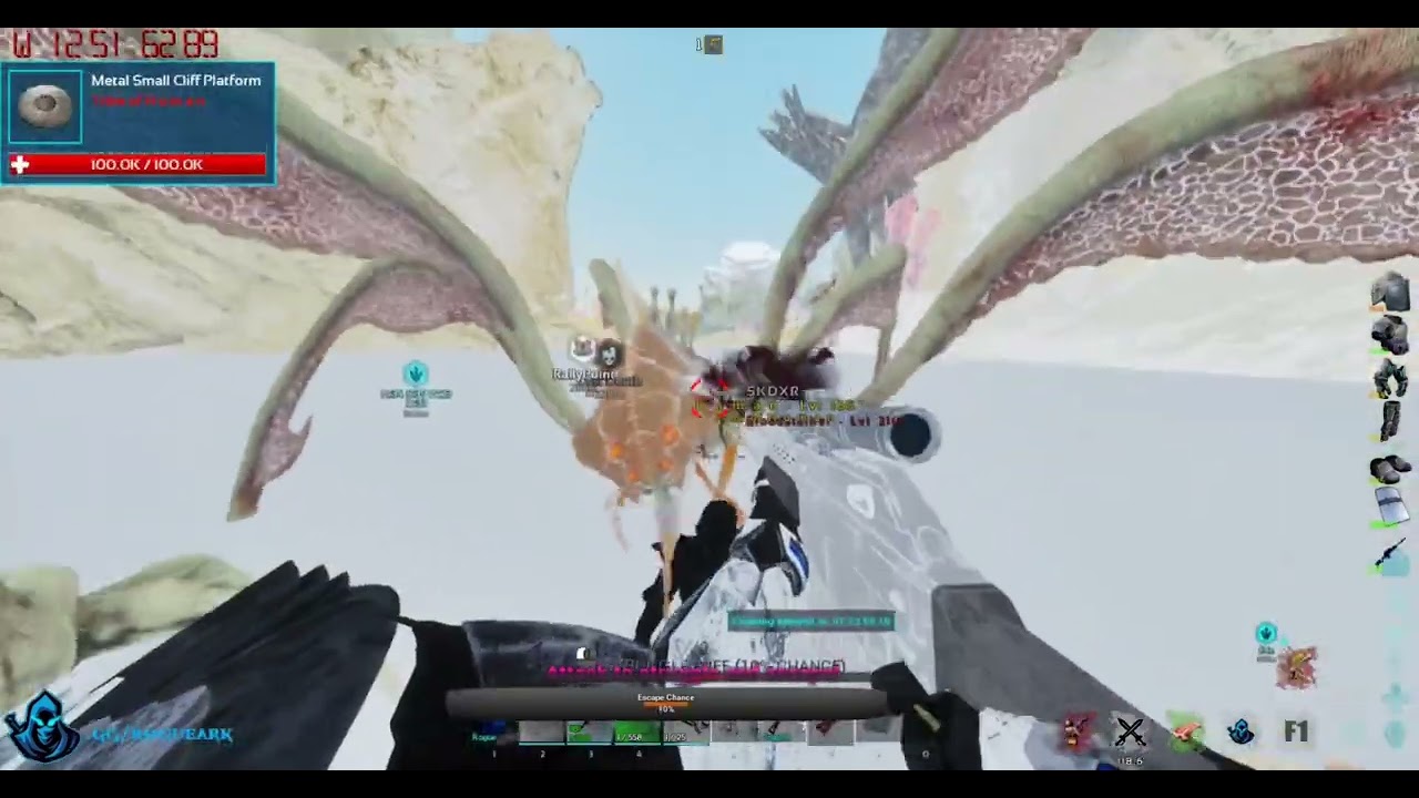 Pvp in the 1st 2 days on Rogue server