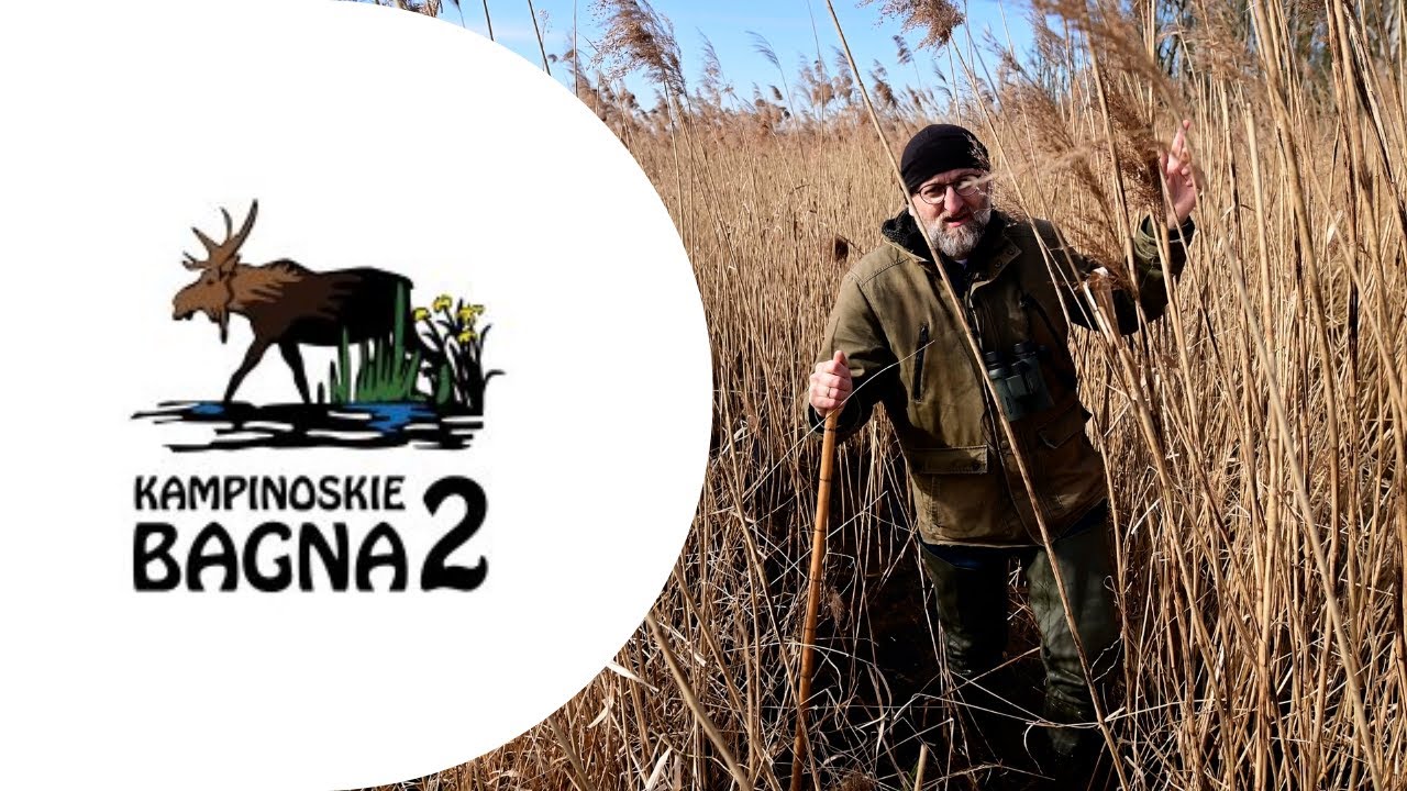 Kampinoskie Bagna - ochrona mokradeł, odbudowa retencji