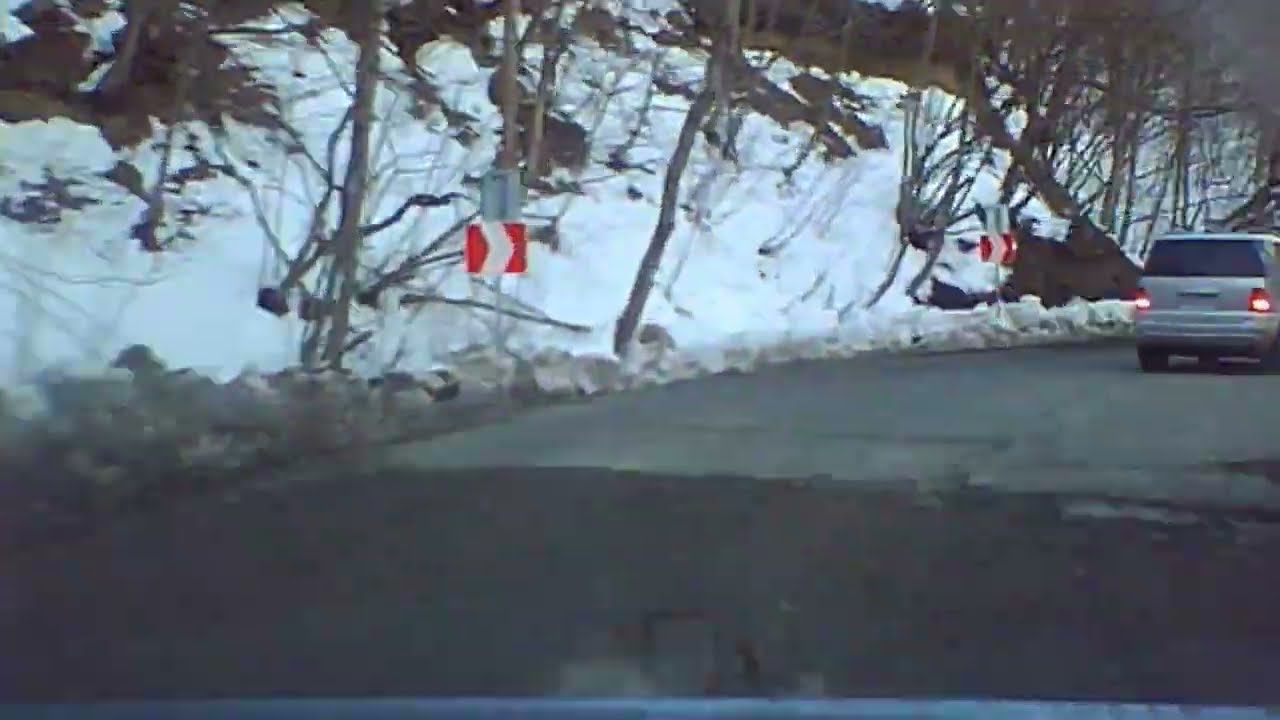 ჟინვალიდან თბილისში თიანეთის გზით: საბადურის ტყე, ცხვარიჭამია, საინტერესო თვოლიანი გზა, მარტი 2026