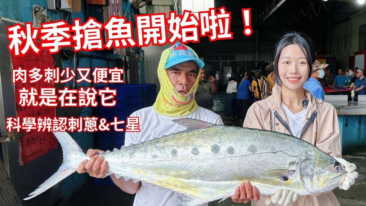 秋季搶魚開始啦！大隻肉多刺少又便宜就是在說它啦！一招教你科學辨認刺蔥與七星