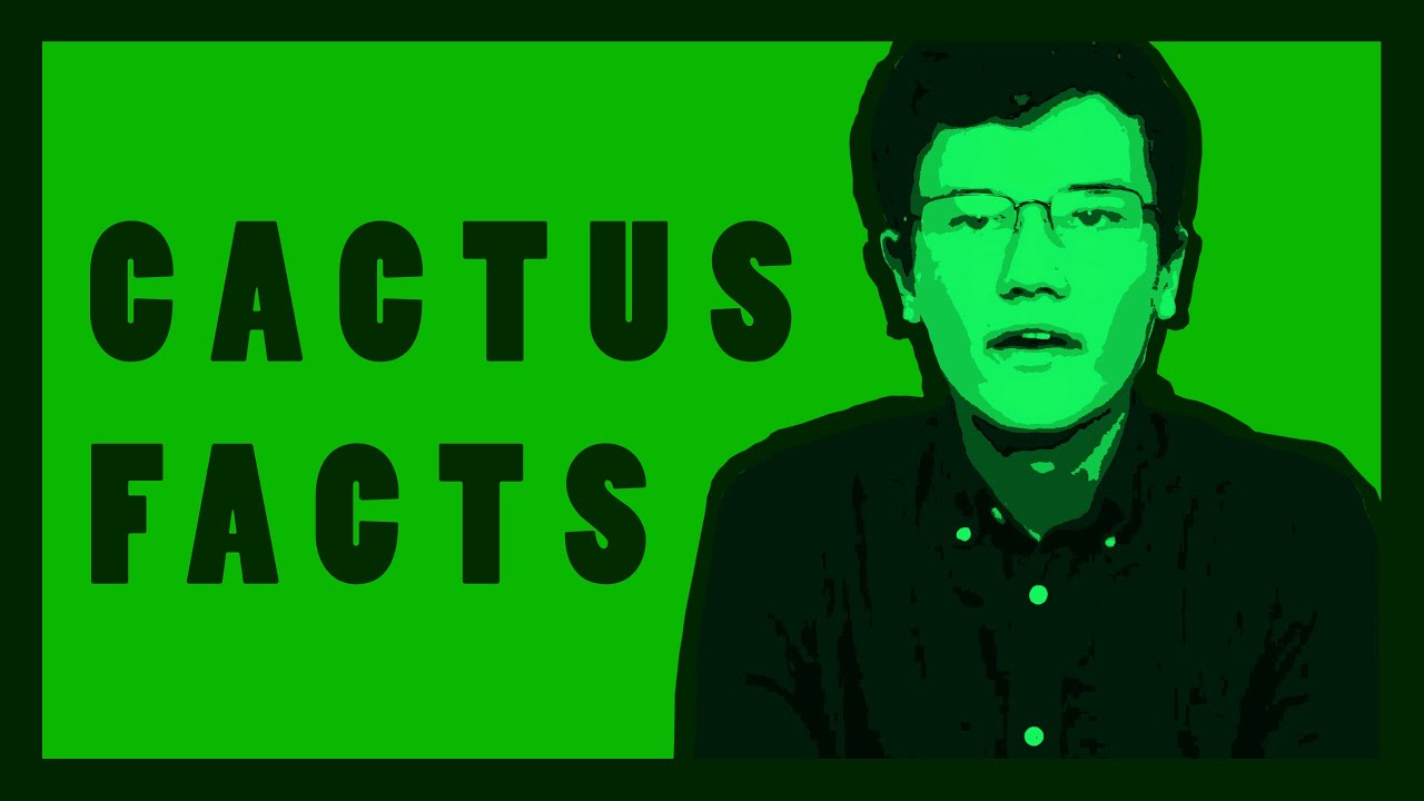 5 CACTUS FACTS -Matthew's Pointless Garbage