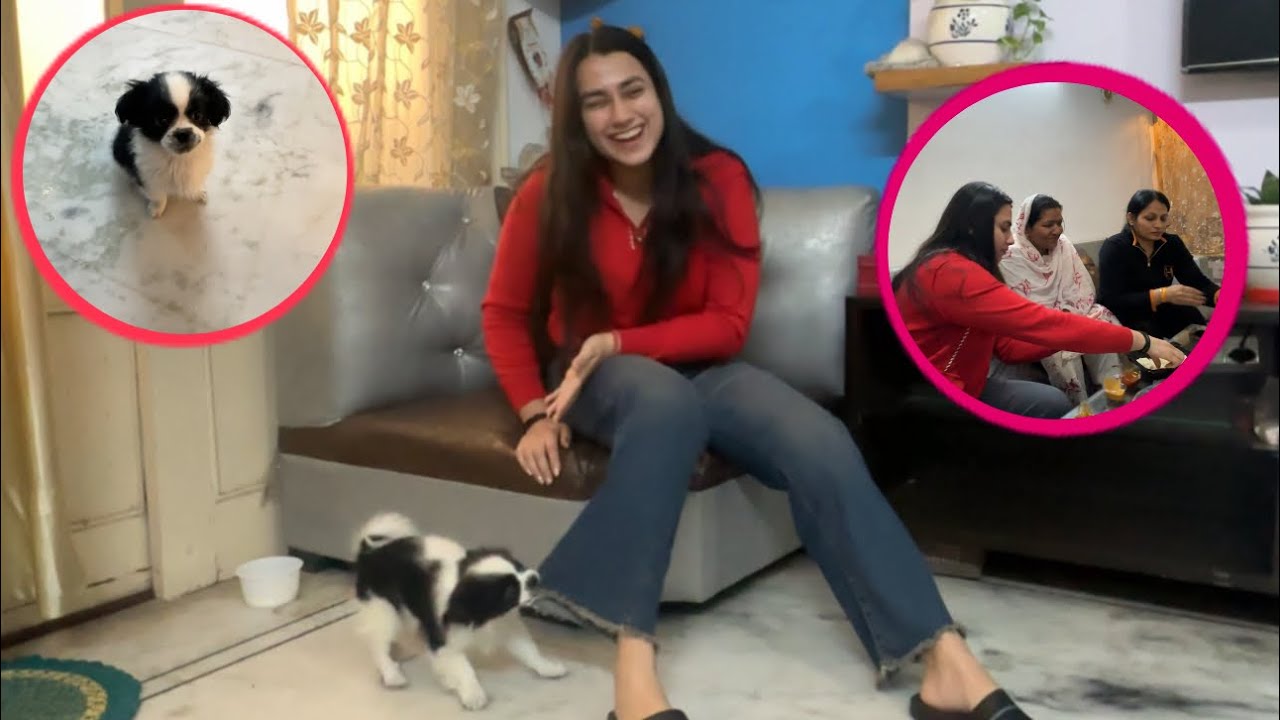 Meet my new friend🥹❤️🐶|| @vanshika-vlog 