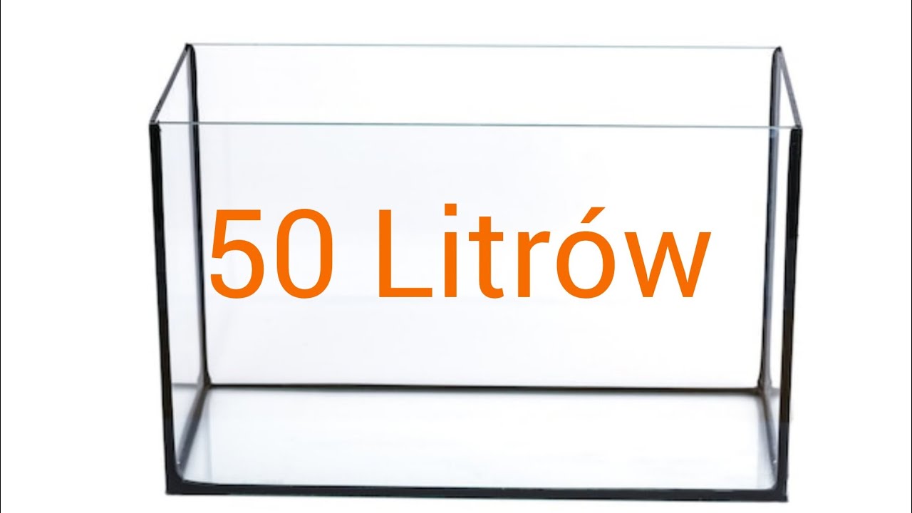 Ciekawe ryby do 50 Litrów i Obsada