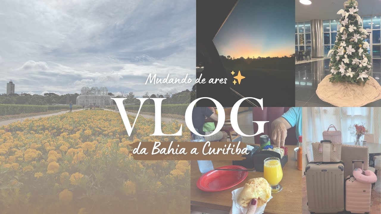 Bahia a Curitiba | viagem, família e novos começos 🚗🎀💗🌸