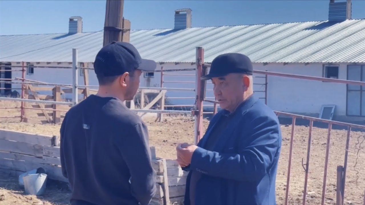 Бүгін біз «Берікбол» шаруа қожалығының тарихымен бөліскіміз келеді