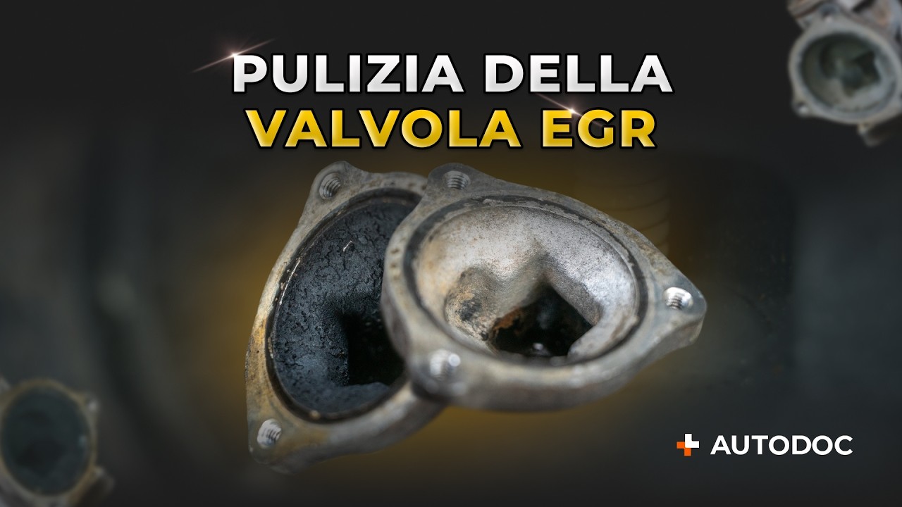 2 modi per pulire la valvola EGR: qual è il migliore?
