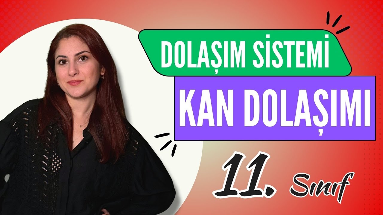 19) KÜÇÜK VE BÜYÜK KAN DOLAŞIMI - DOLAŞIM SİSTEMİ 3 | 11. SINIF | AYT BİYOLOJİ DERS NOTLARI | 2024