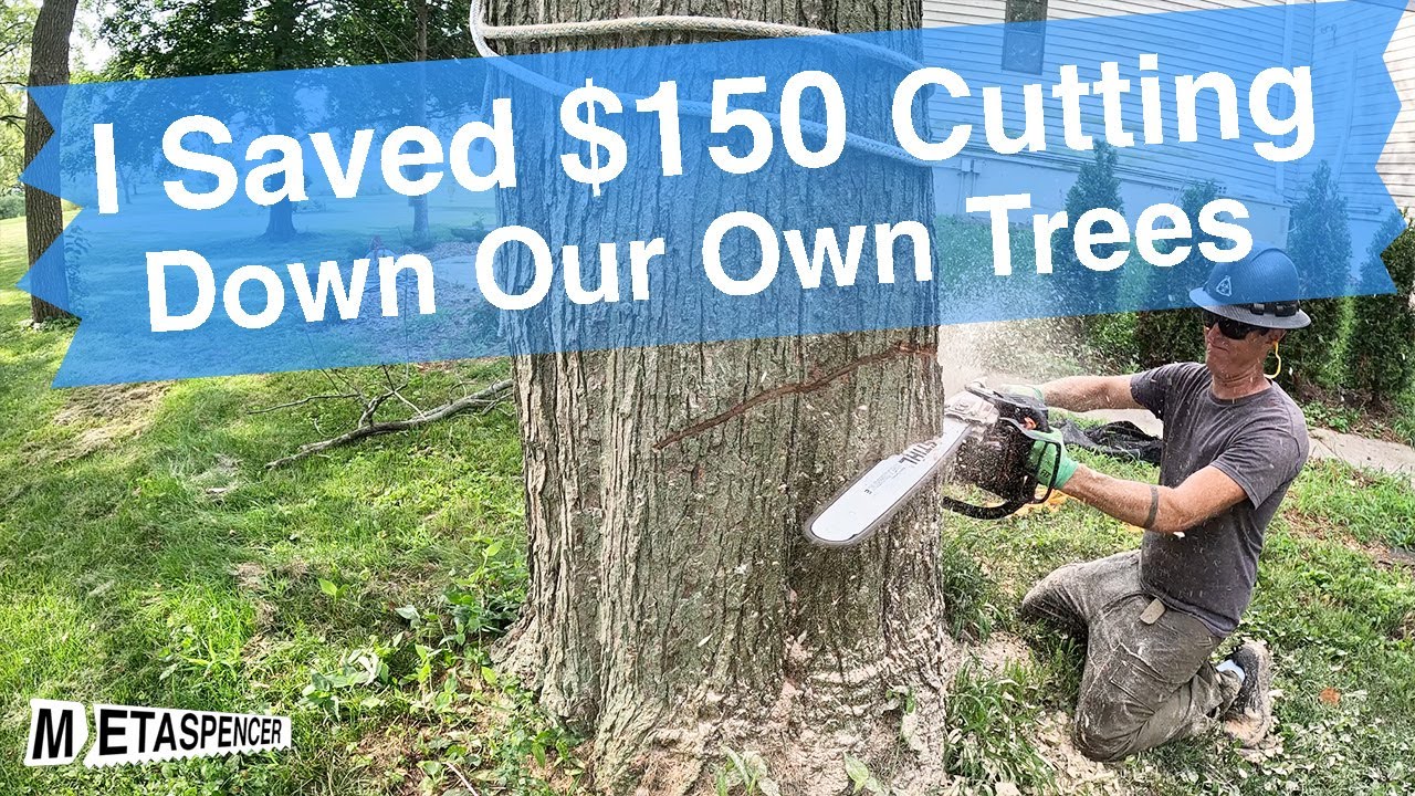 I Saved $150 Cutting Down Our Own Trees