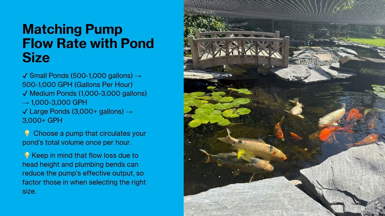 How to Choose the Right Pond Pump? | Best Pump for Koi Ponds, Waterfalls & Filtration