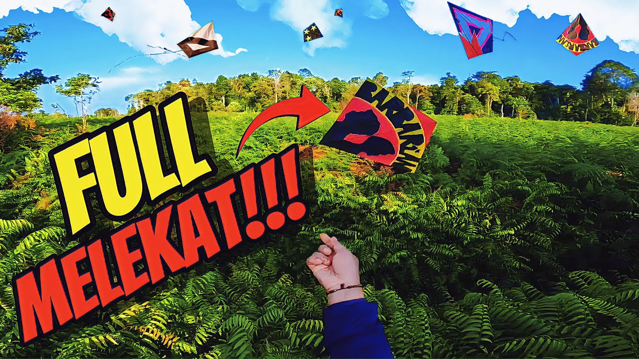 HUTAN BELANTARA MENJADI SAKSI BISU KEGANASAN TIM ​⁠BARBAR1AN CS‼️