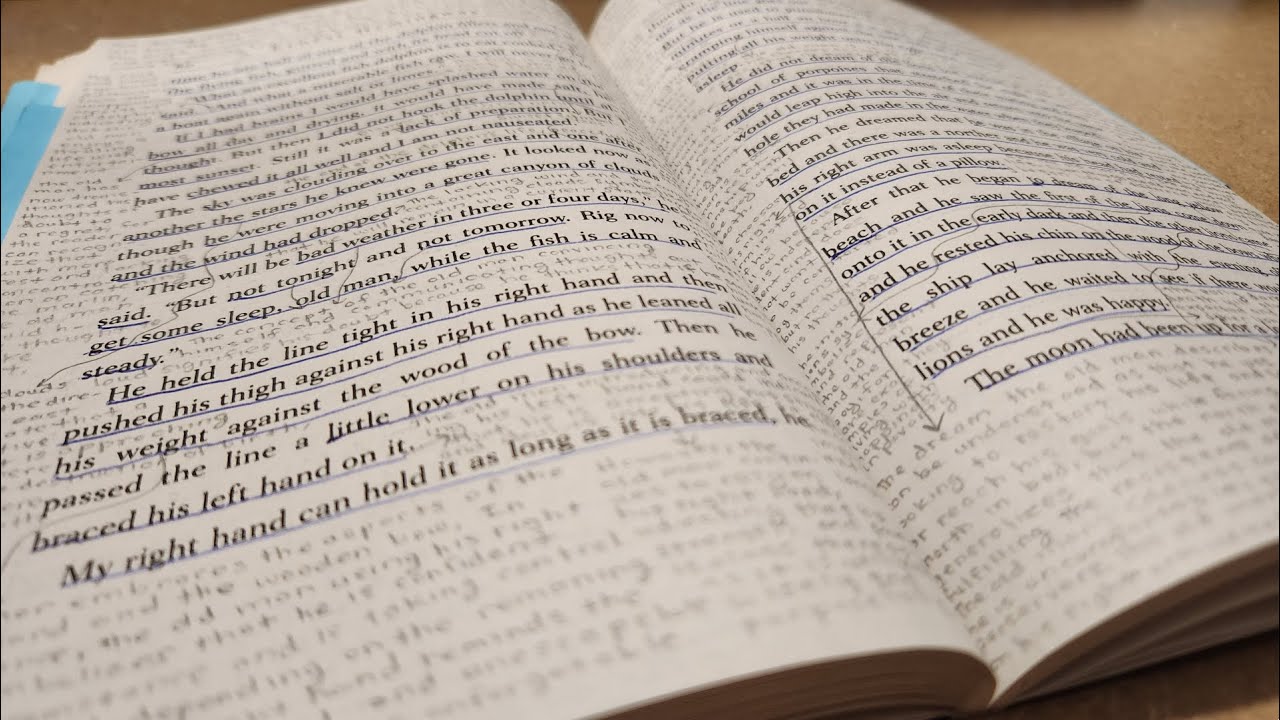 This Reader Wrote More Than The Author | Interesting Finds 1