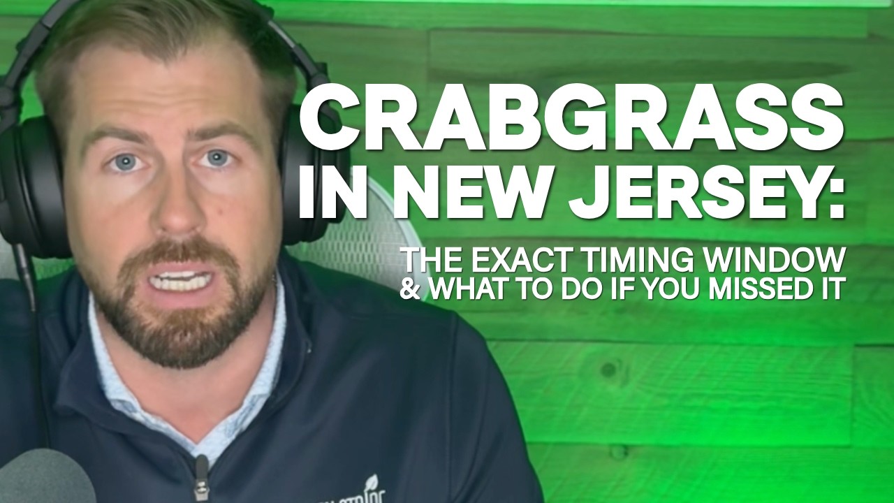Crabgrass in New Jersey: The Exact Timing Window & What to do if you Missed It