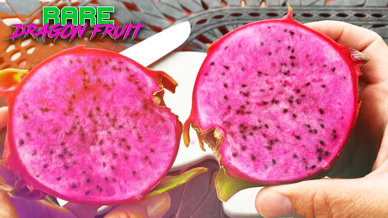 Cosmic Charlie Dragon Fruit TASTING and REVIEW / Superb grape-like flavor / GUESS the BRIX?