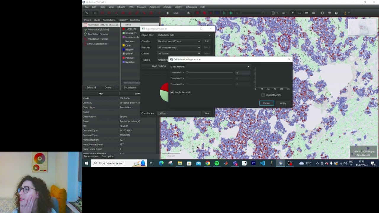 Cell Classification and Density Maps with QuPath