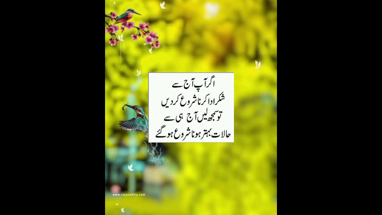 Best Urdu quotes|Golden Word In Urdu| Sunehry Alfaz