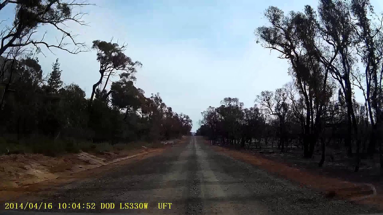 A Lucky Roo