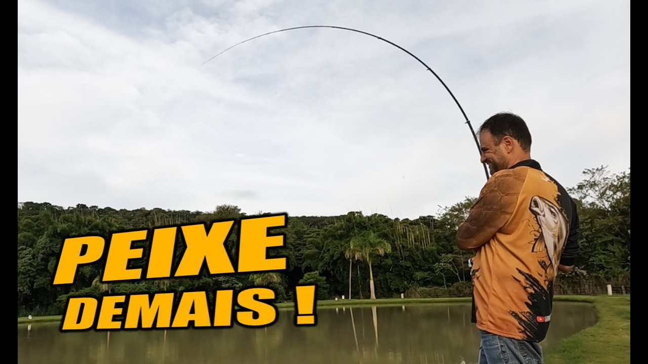 AQUI TEM MAIS PEIXE QUE ÁGUA! PESQUEIRO FAMÍLIA MARQUES.