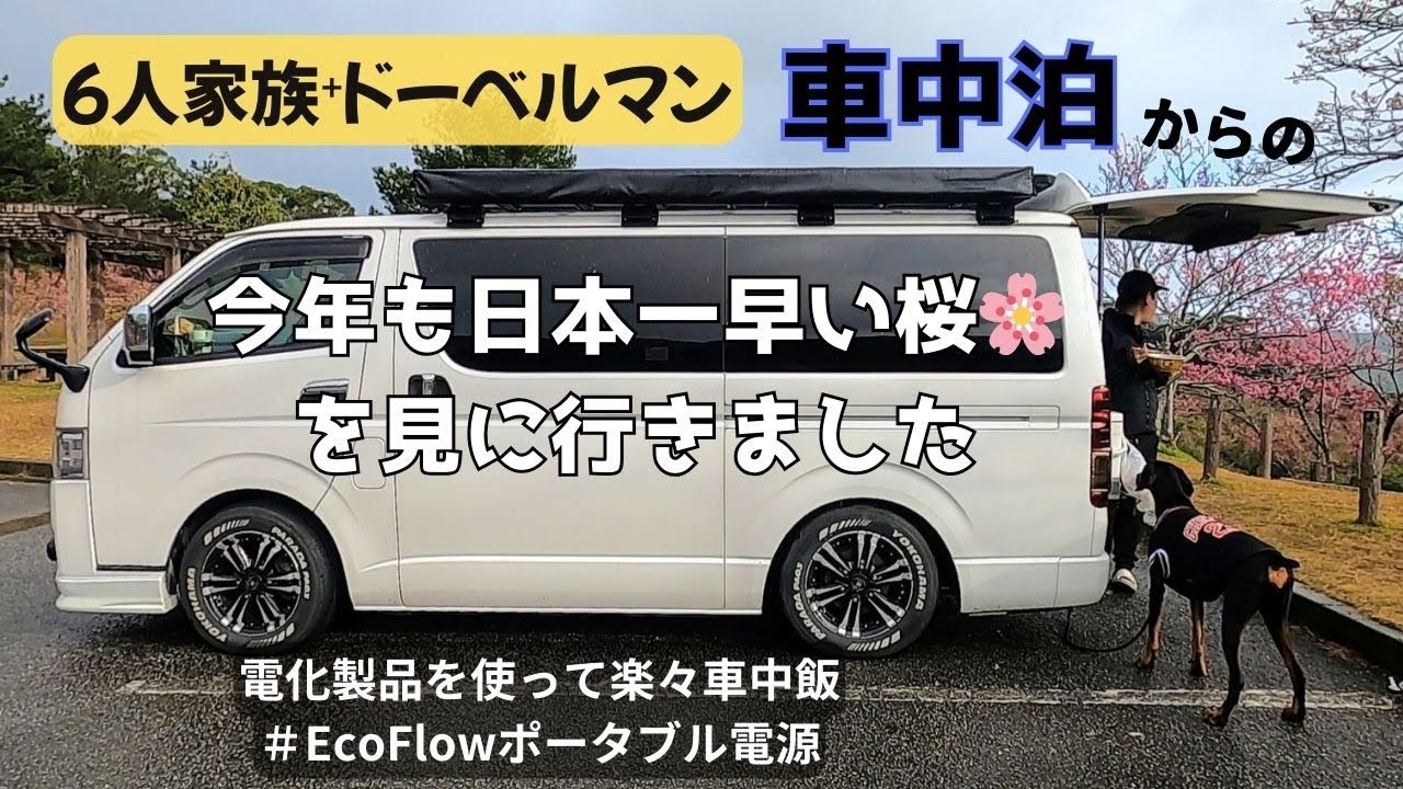 【車中泊＃15】家電を持ち出して車中飯してみました/ハイエース/EcoFlowデルタ３プラス/オルタネーターチャージャーで急速走行充電/ベッドキット