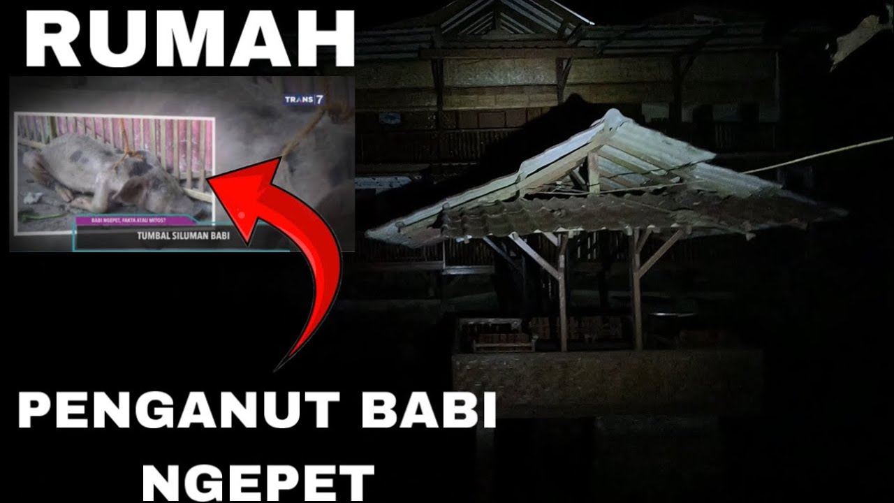 ISTRINYA 9 TAPI SUAMINYA PENGANUT BABI NGEPET‼️😱