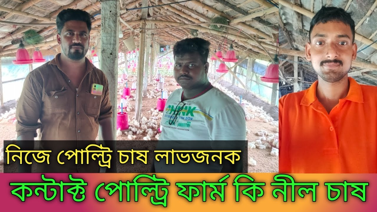 কন্টাক্ট পোল্ট্রি ফার্ম কি নীল চাষ/ নিজে পোল্ট্রি চাষ লাভজনক / poultry farming/ chicken farm/ boiler
