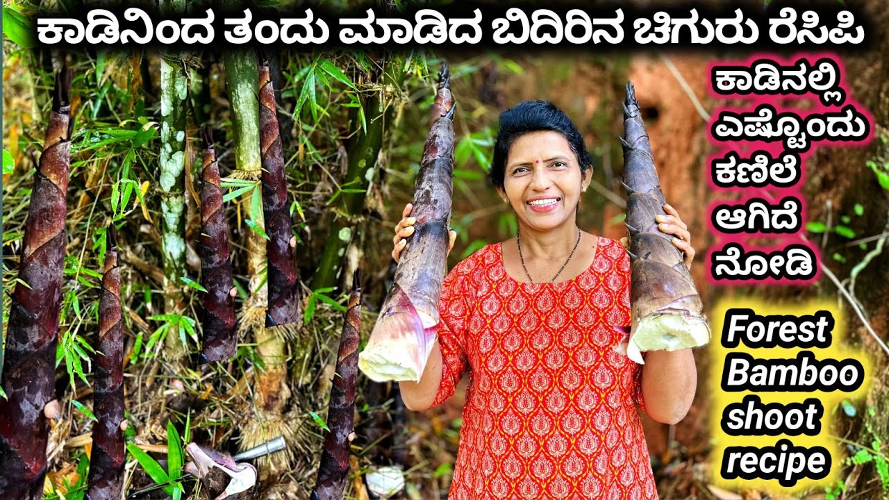 ಕಾಡಿನ ಮಧ್ಯದಿಂದ ತಂದ ಕಣಿಲೆ-ಹಳ್ಳಿಯಲ್ಲಿ ಹೆಚ್ಚಾಗಿ ಮಳೆಗಾಲದಲ್ಲಿ ಇದನ್ನು ತಿನ್ನುತ್ತಾರೆ | Forest Bamboo Shoot