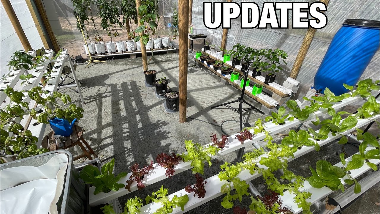Updates: NFT, Hooch Buckets, RGGS Ends