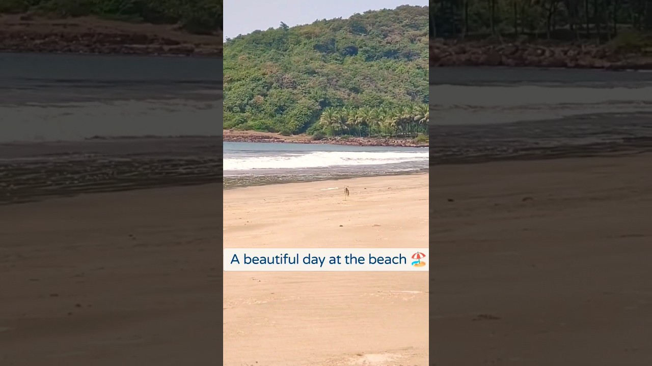 Guhagar Beach-Konkan|Ratnagiri #shorts #konkan #guhagar #shortsvideo