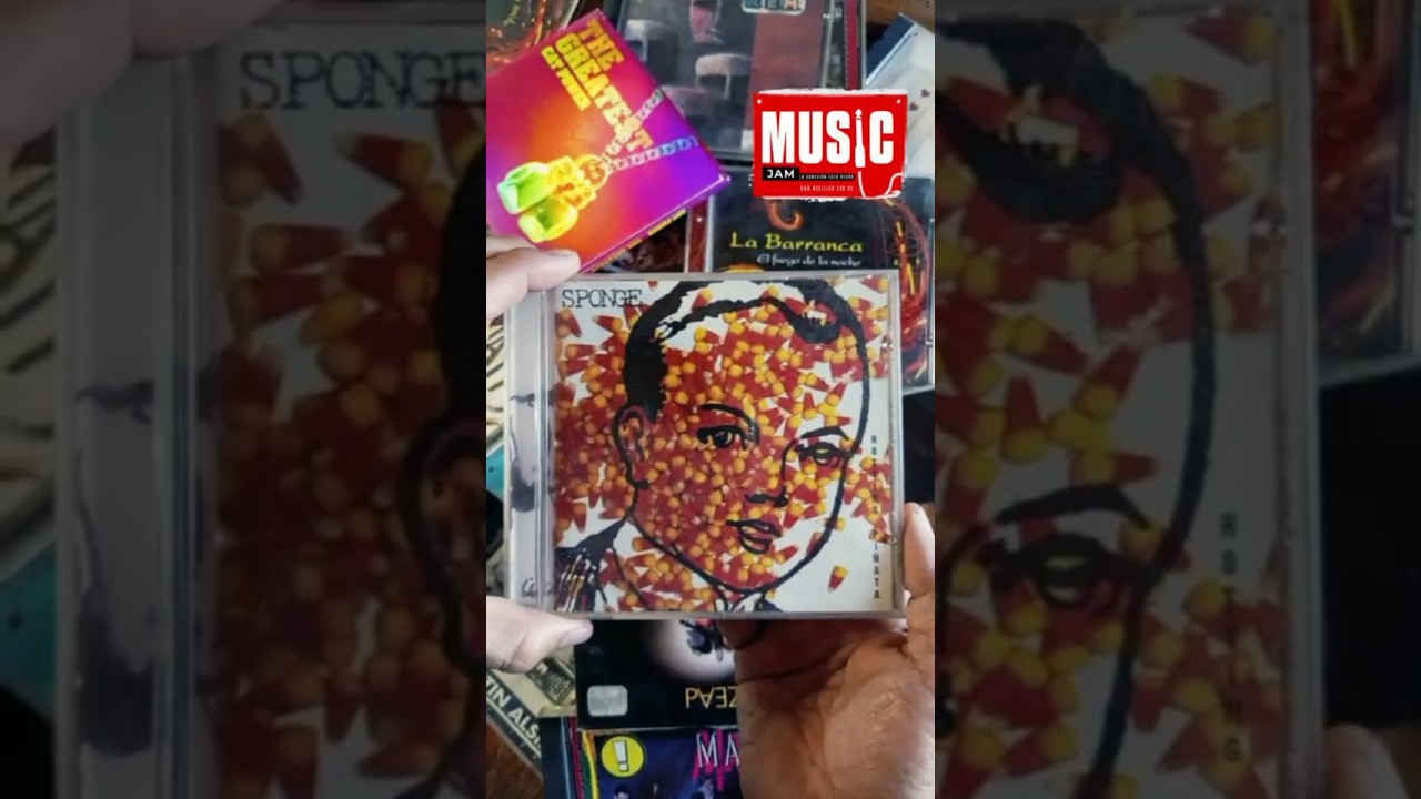 Sponge | Rotting Piñata