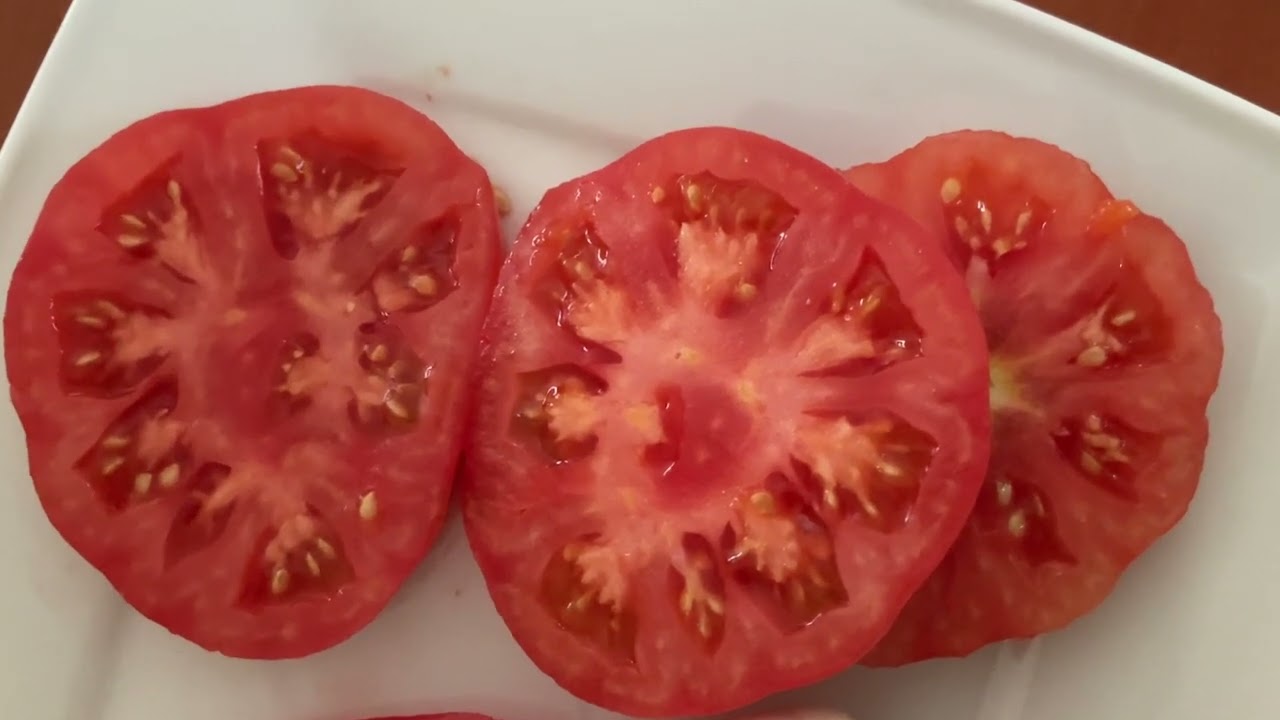 💖POMIDOR MARMANDE🍅MALINOWY MIĘSISTY SŁODKI WYŚMIENITY SOCZYSTY KARBOWANY WYDAJNY CZERWONY