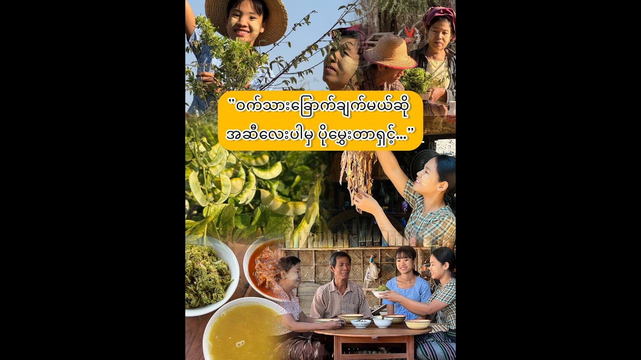 “ဝက်သားခြောက်ငပိချက်နဲ့ ရာသီစာ သမုန်းဖူးသုပ်ကမြိန်…”