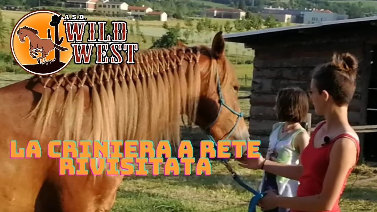 Criniera a rete rivisitata