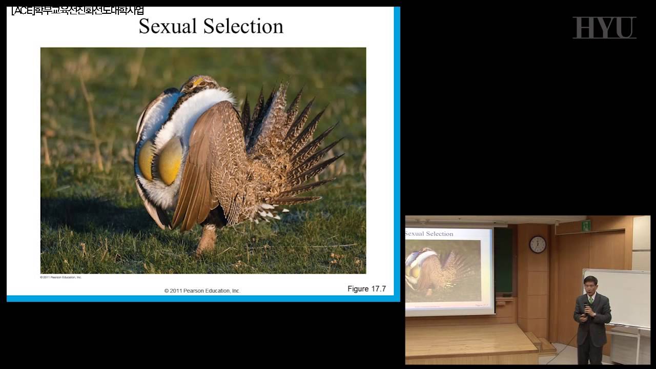 생명과학입문 12강