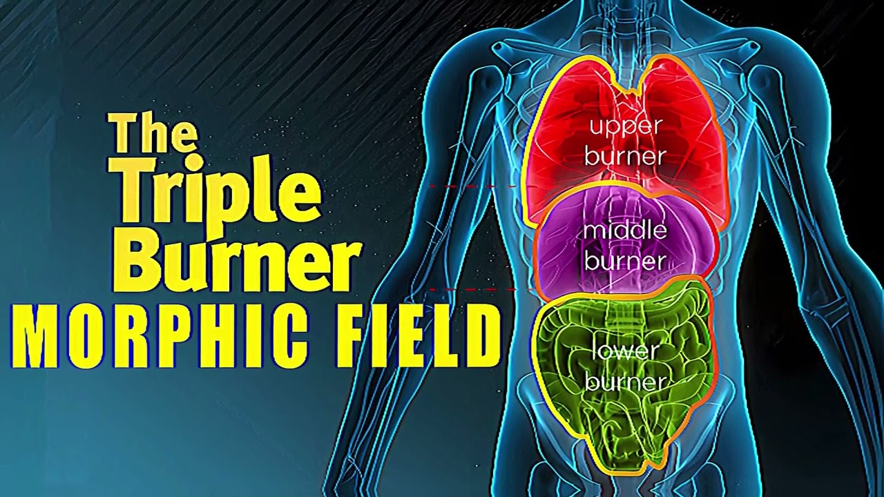 Triple Burner Meridian Morphic Field: Revitalize Your Energy Pathways - Boost Chi (Qi) Energy